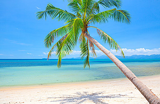 soi cau xs phu yen