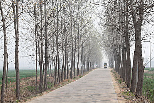 du doan kqxs rong bach kim