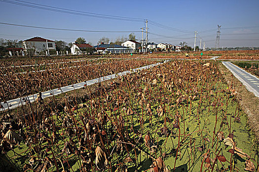 lô khung 3 ngày miễn phí