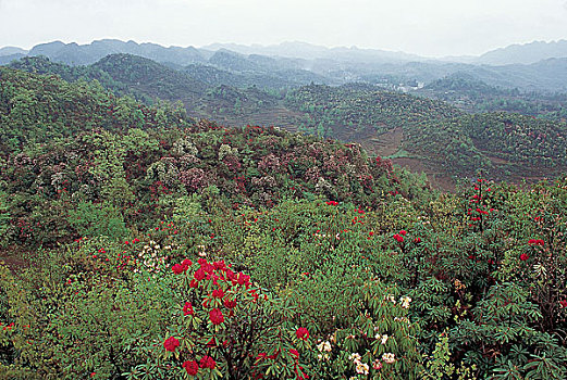 xsmn thu bay