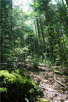 số phú yên