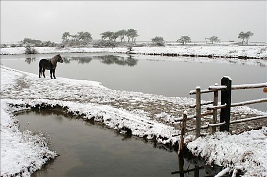 thống kê lô rơi