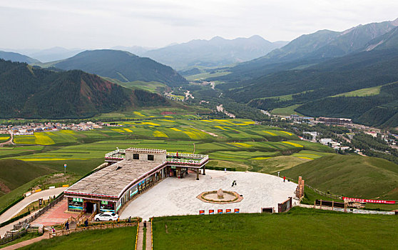dan song thu lo