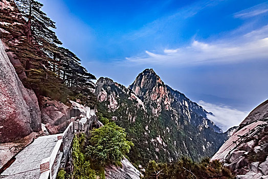 soi cầu bạch thủ 24 giờ