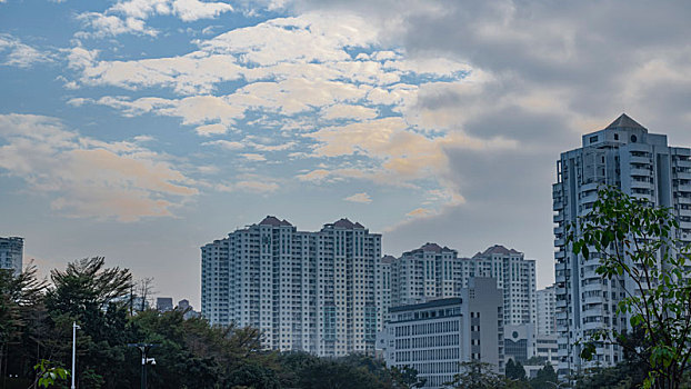 lo bạch thủ đẹp hôm nay