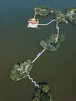 soi lo rong bach kim