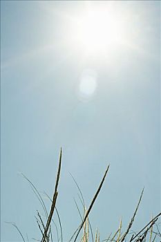 dự đoán xổ số miền nam trúng thưởng