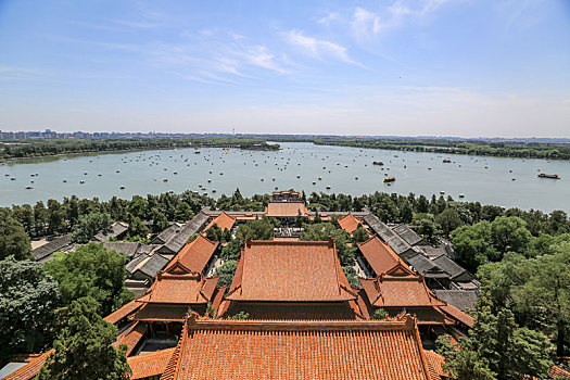 soi cau mien bac