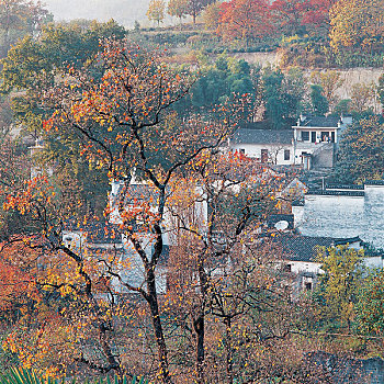 chuyen da du doan xo so dak lak hom nay