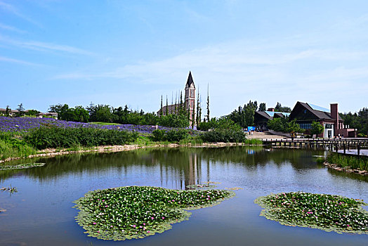 xổ số trà vinh hôm nay