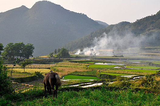 cầu đề 86 hôm nay