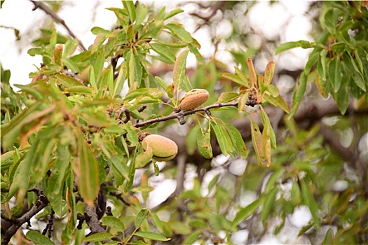 cầu lô ngày hôm nay