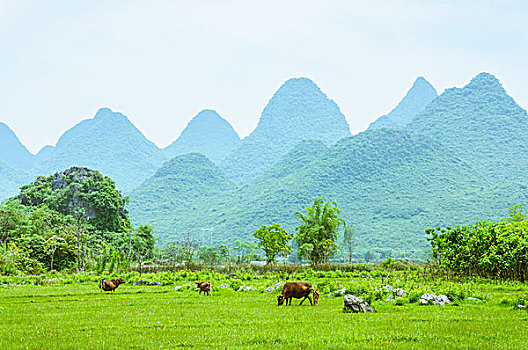 xsmb minh ngoc