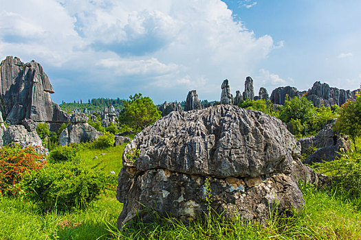 xsmn chủ nhật