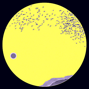 xsmb 7