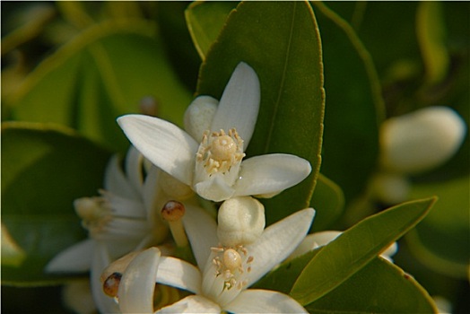 xổ số thứ bảy tuần rồi