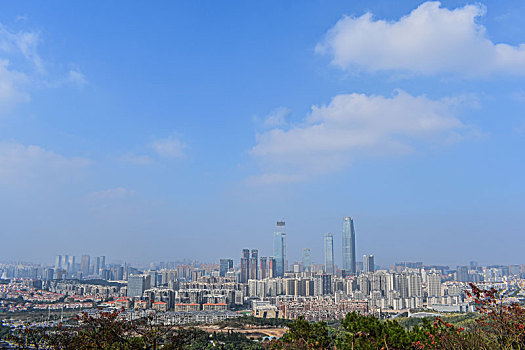 soi cầu đại lộc
