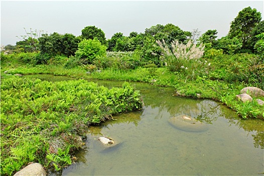 soi cầu xsmb hom nay