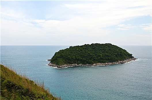 soi cau xo so vung tau