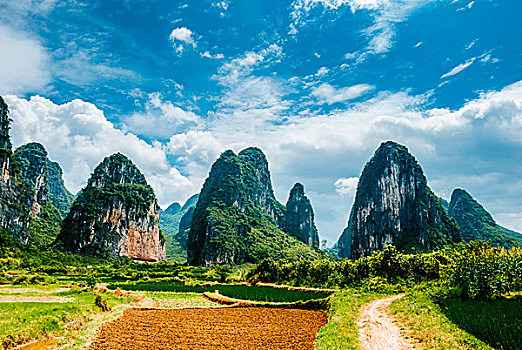 du doan m nam