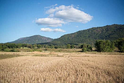 đánh lô trực tuyến