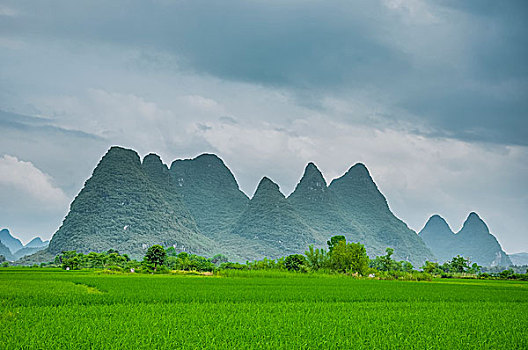 xổ số long an 30 ngày
