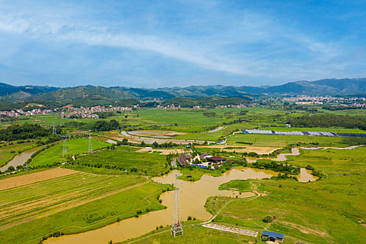lo de gan