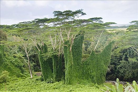 kết quả xổ số