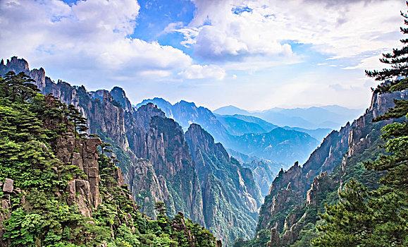 soi cầu bạch kim