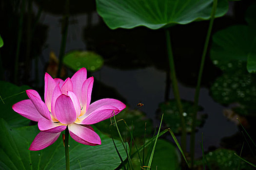 soi cầu 2888