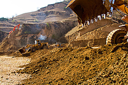 soi câu rong bach kim