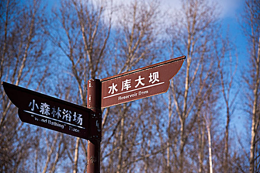 soi cầu chuẩn 14