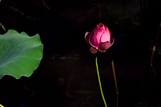thống kê lô đề 100 ngày