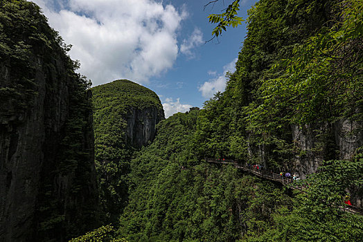 soi cau nha cai