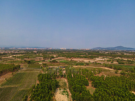 xs quang ngai hom nay