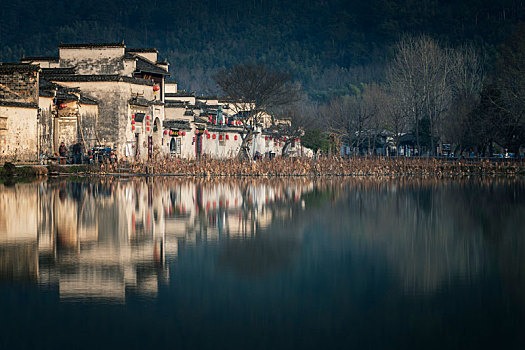 soi lo bach thu
