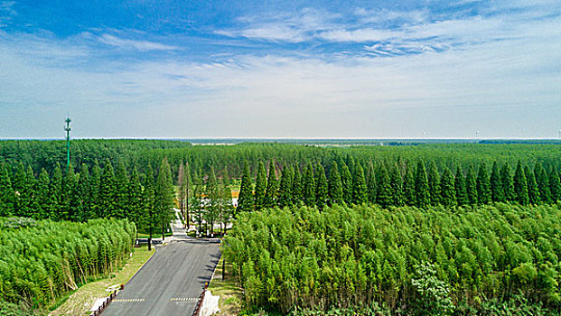 bạch thủ lô kép hôm nay