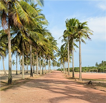 xs minh ngoc thu 6
