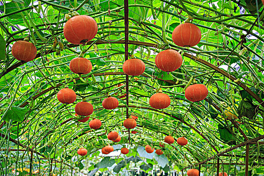 xổ số miền bắc thứ bảy tuần trước