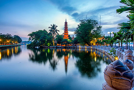 rong bạch kim 888