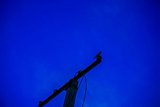 xổ số miền bắc 888