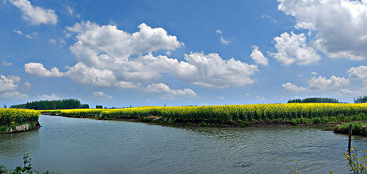 xs3mien hom nay
