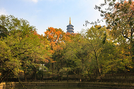 soi cầu chuẩn misa