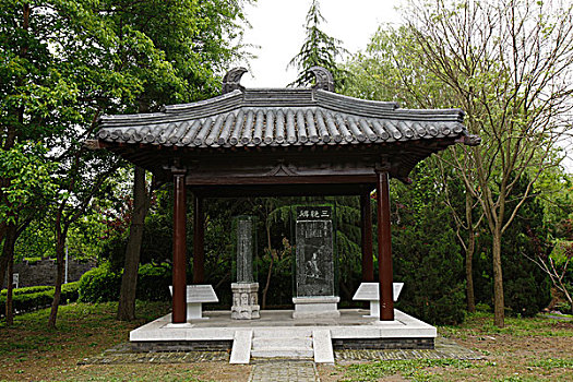soi cau lo bach thu rong bach kim