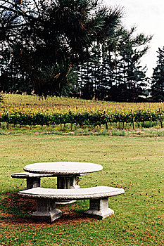 cau lodephomnay