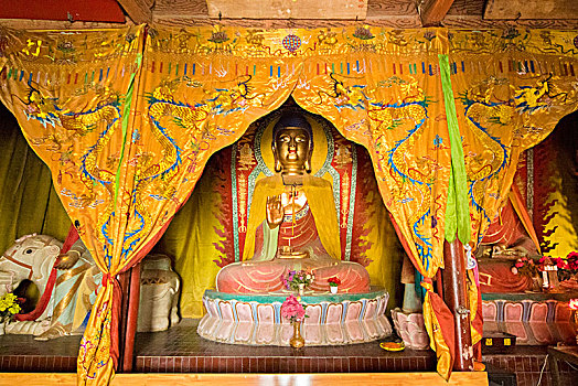 chốt số giờ vàng hôm nay