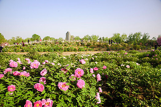 quay thử xổ số miền nam
