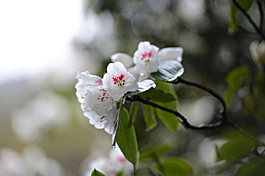 xổ số miền