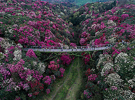 du doan mn minh ngoc